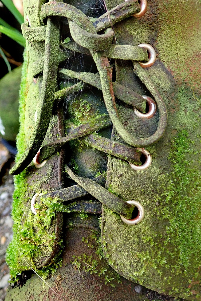 boot, old, moss, leather, outdoor, vintage