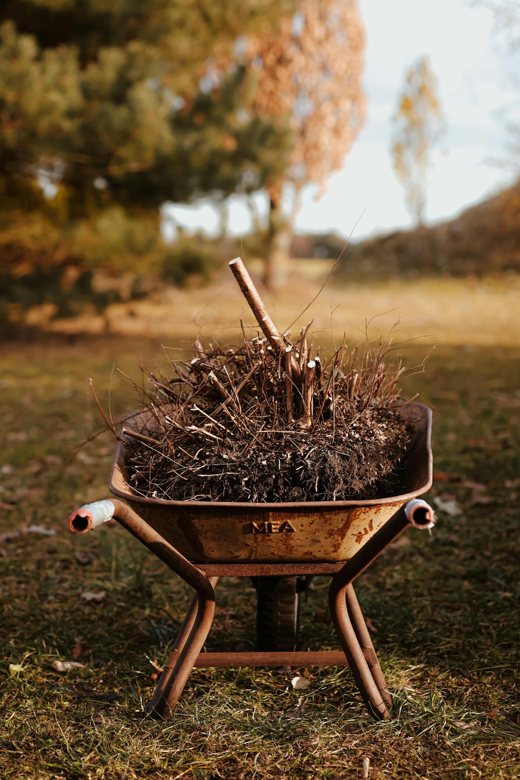 Old rusty wheelbarrow filled with sticks in a scenic autumn field.